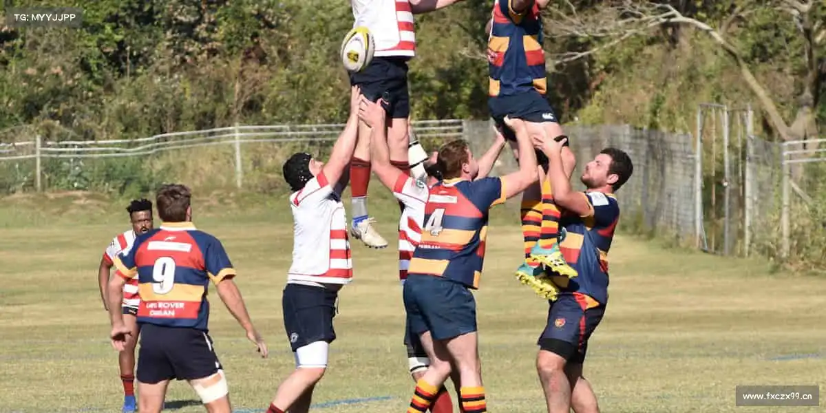 我们的核心竞争力